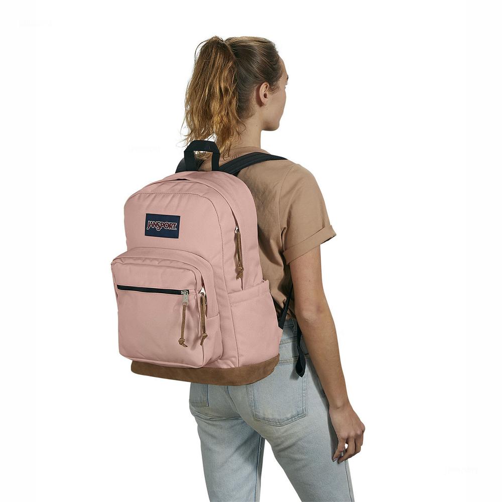 Sac à Dos Ordinateur JanSport Right Pack Rose | YFH-27809552